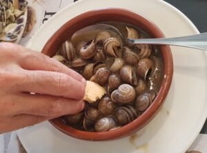 Auténticos caracoles albaycineros